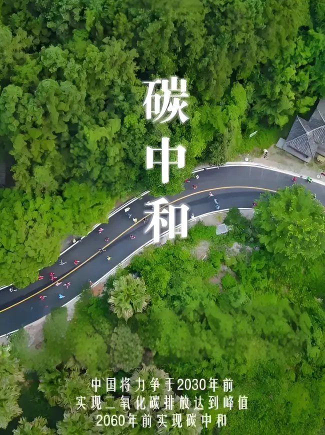 中共中央办公厅 国务院办公厅关于推进绿色低碳转型加强全国碳市场建设的意见