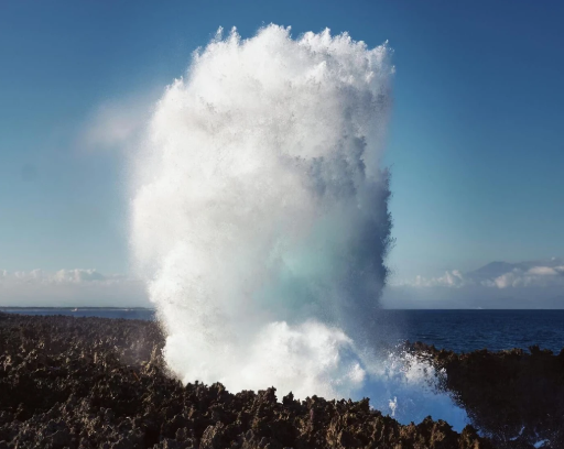 制度建设与管理创新并举开启履约新阶段
