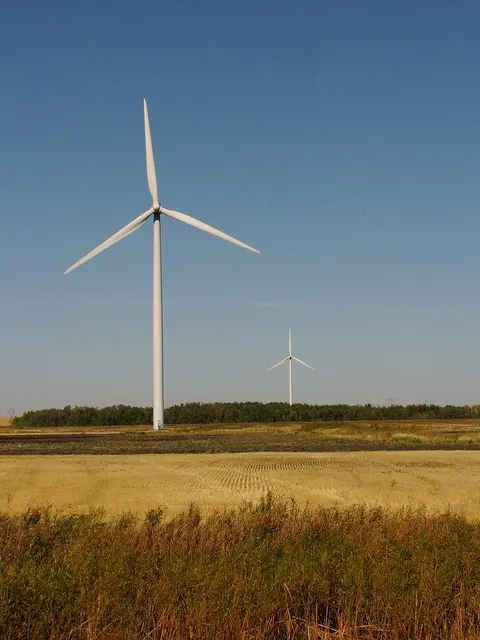 复旦碳价指数：2025年7月CEA价格指数显著回升