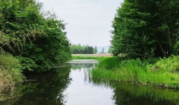 引导资源环境要素有序流动优化配置