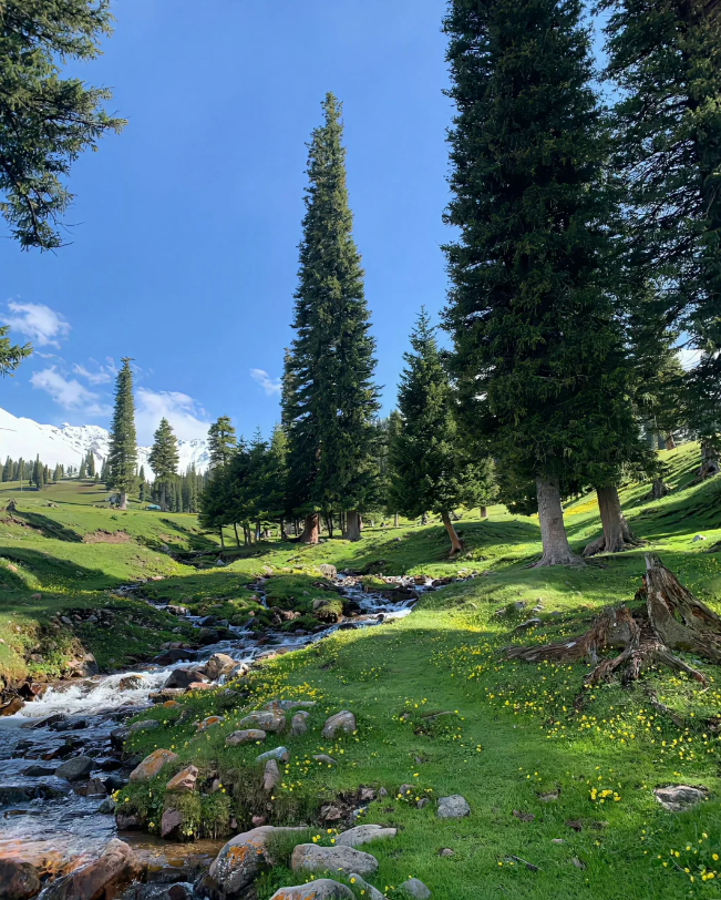 关于2025年国民经济和社会发展计划执行情况与2026年国民经济和社会发展计划草案的报告（摘要）