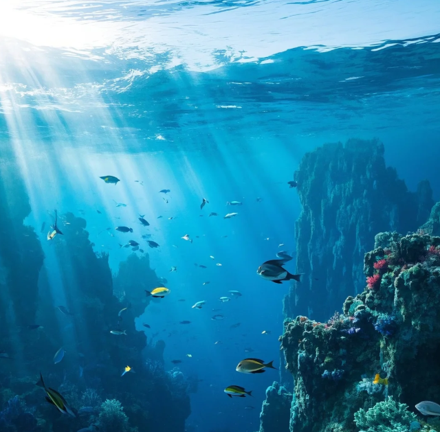 蓝绿交响：粤港澳大湾区打造海洋经济新范式