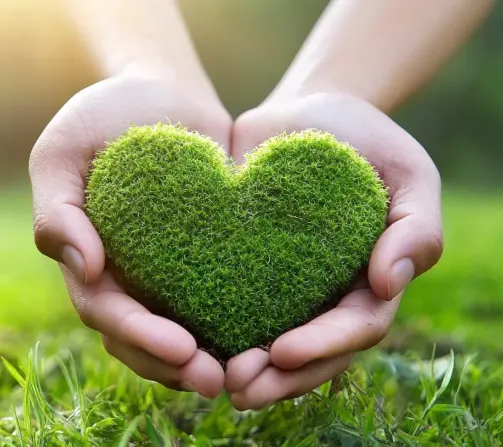 李强作的政府工作报告（摘登）