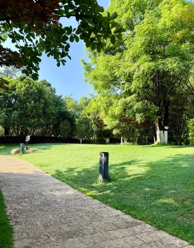 2025年陕西生态环境质量持续改善