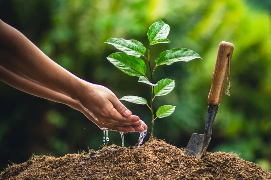 新华鲜报丨春已至！“植”绿山河