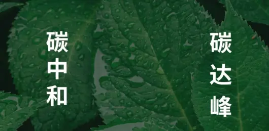 向新而行丨向绿逐新