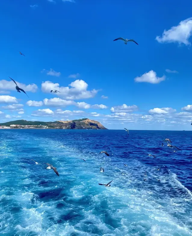 《求是》杂志发表习近平总书记重要文章《推动海洋经济高质量发展》