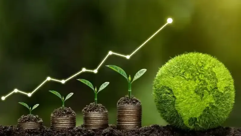 加快建设全链条、数字化、智能化的全国碳市场管理平台