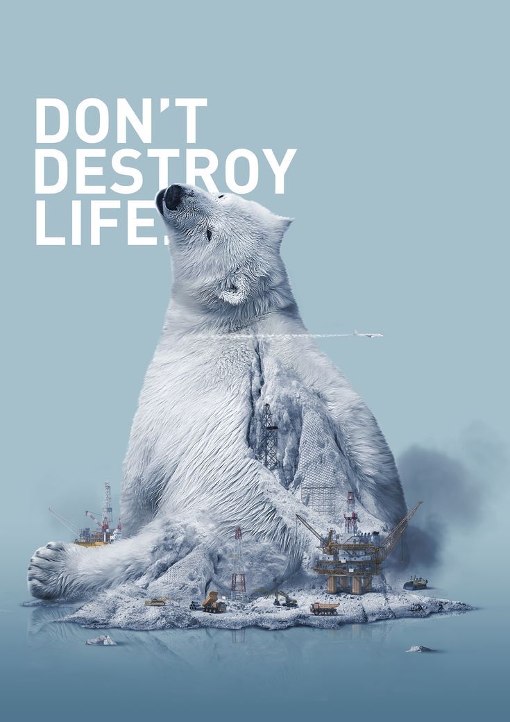 内蒙古碳汇项目开发步入快车道——CCER碳汇项目位列全国第一