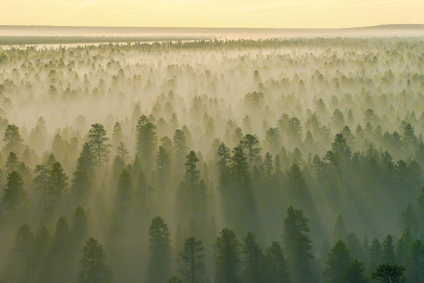 锚定环境空气质量新标准，资阳将从三方面发力！