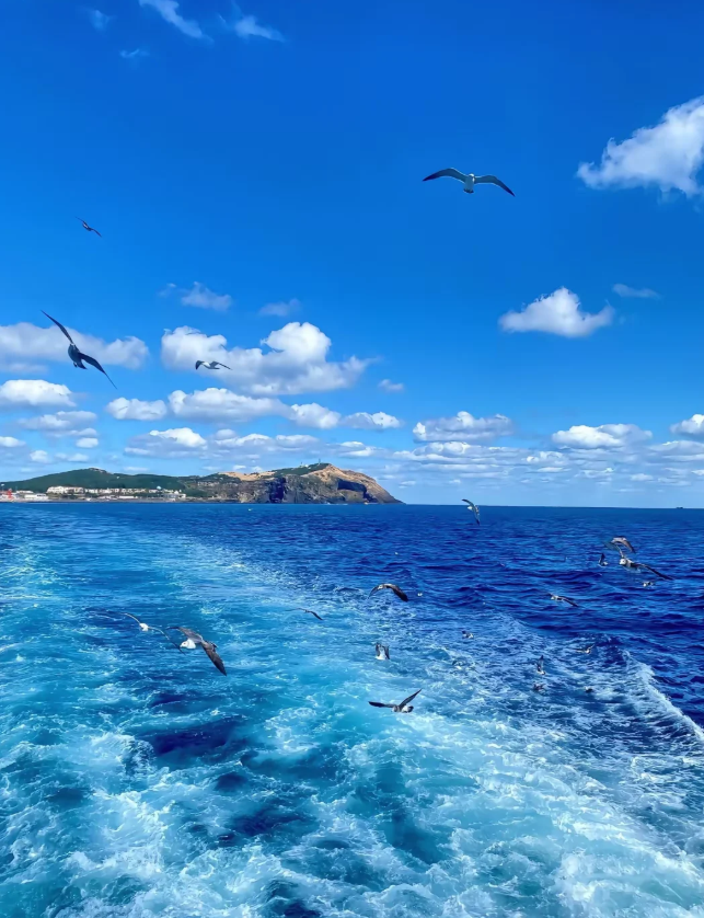 两会通道传真｜“部长通道”勾勒未来生活图景