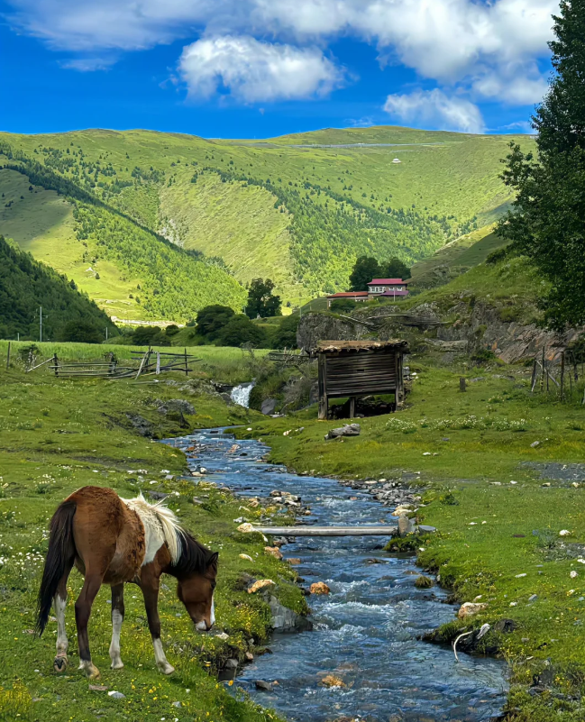 迈向人与自然和谐共生的现代化的法治里程碑（人民要论）