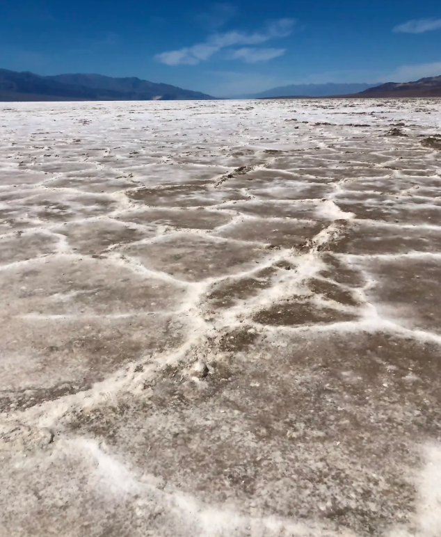 甘肃兰州新区荒滩盐碱地“变身”生态公园