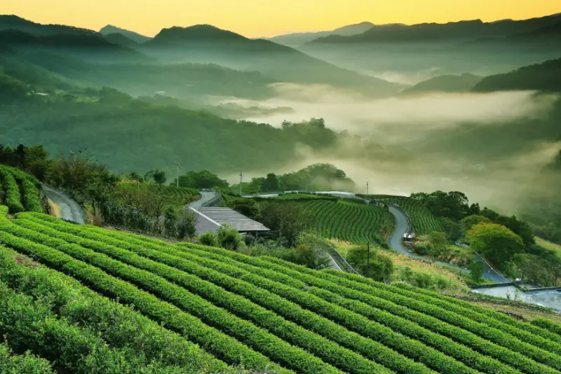 “让绿色发展真正惠及世界每个地方”——中国携手世界共绘可持续发展新蓝图