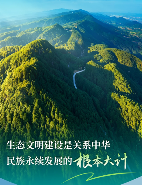 “绿色低碳转型 守护万物共生”学术研讨会在西宁召开