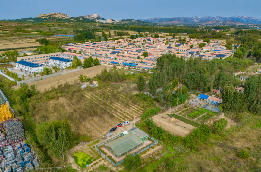 减污降碳持续攻坚，多方合作改革创新 上海上半年生态环境质量稳步提升