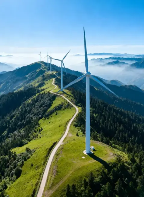 袁亮：“十五五”能源绿色转型的形势、挑战与路径