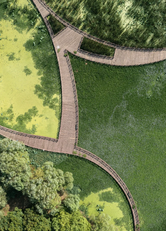 在消博会，遇见向往的绿色低碳生活