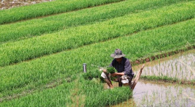 每年40亿吨农业废弃物如何激活碳资产？CCER方法学提供“金钥匙”