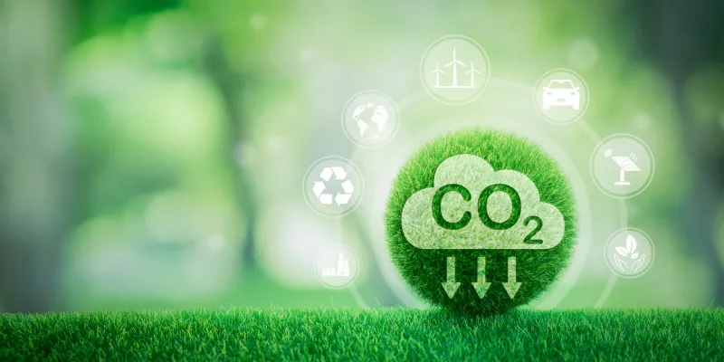 健全碳市场制度 加快绿色低碳高质量发展 