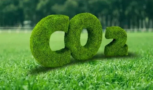 2024年中国碳市场大会在武汉举行