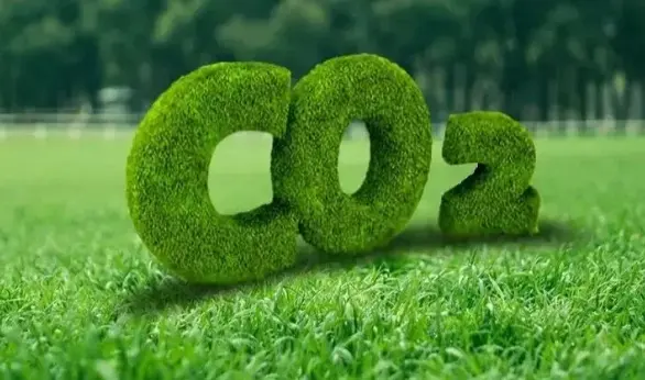 2024年中国碳市场大会在武汉举行