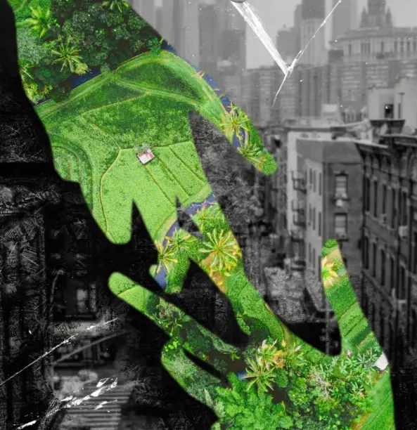 加快建立统一规范的碳排放统计核算体系 以高质量数据支撑“双碳”目标实现