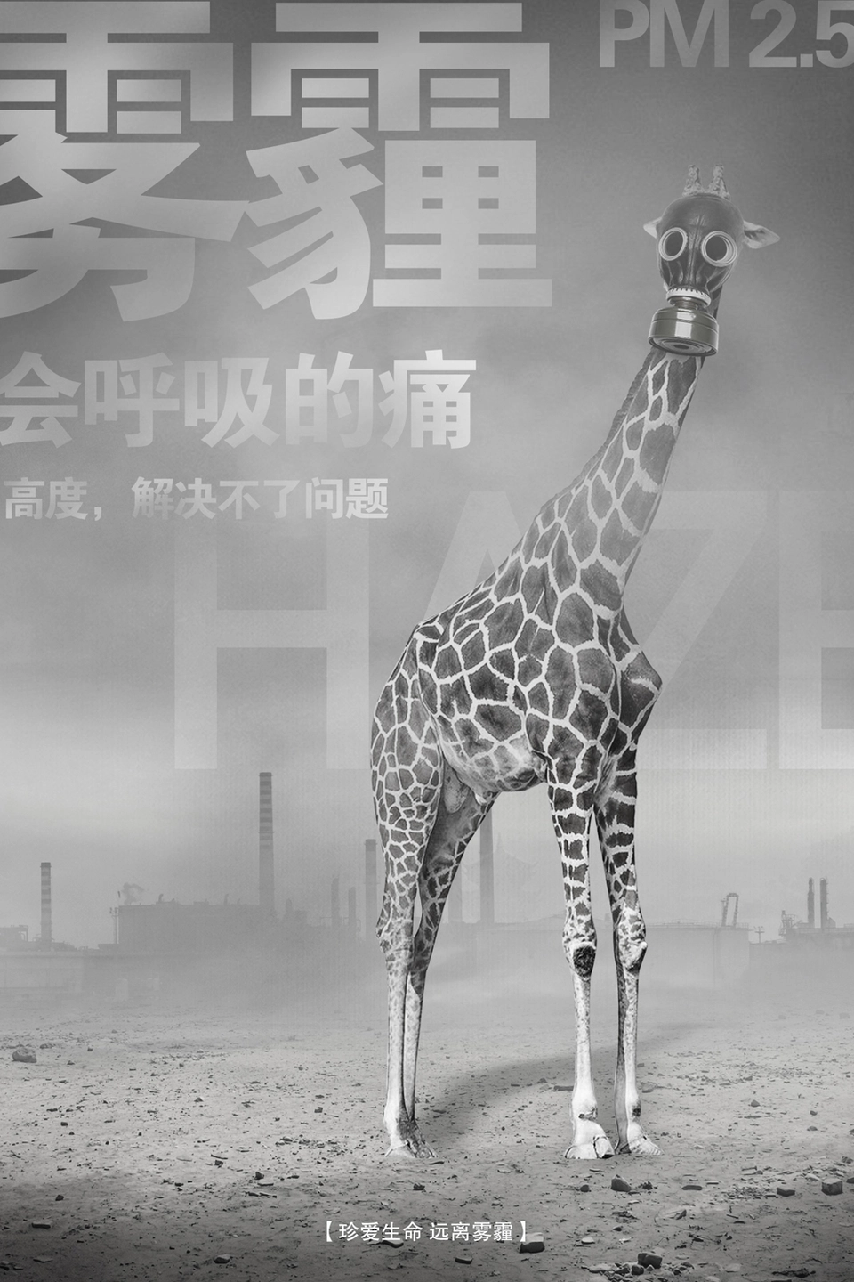 福建尤溪碳汇造林绿色收益农户共享