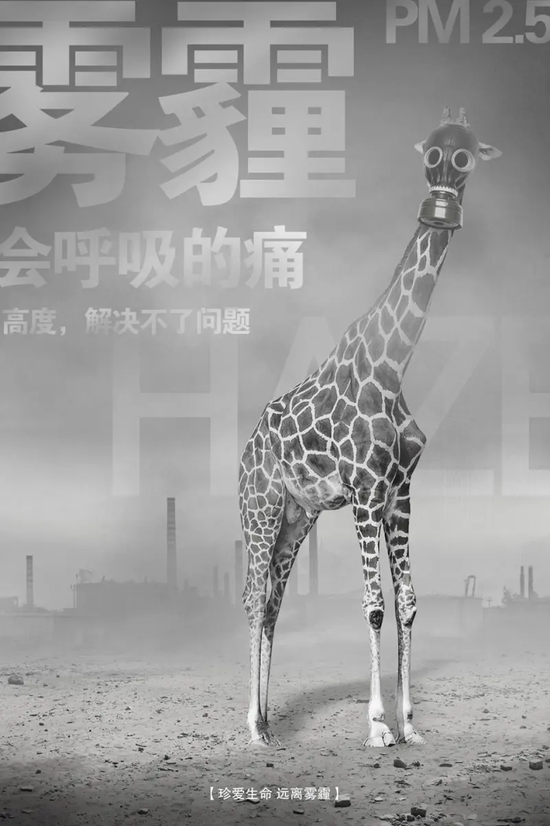 福建尤溪碳汇造林绿色收益农户共享