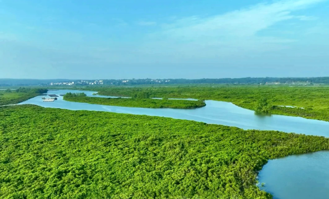 盐城市委书记周斌：压实责任链条，筑牢绿色发展生态安全屏障