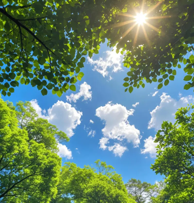 中经评论：以更高标准守护好蓝天白云 