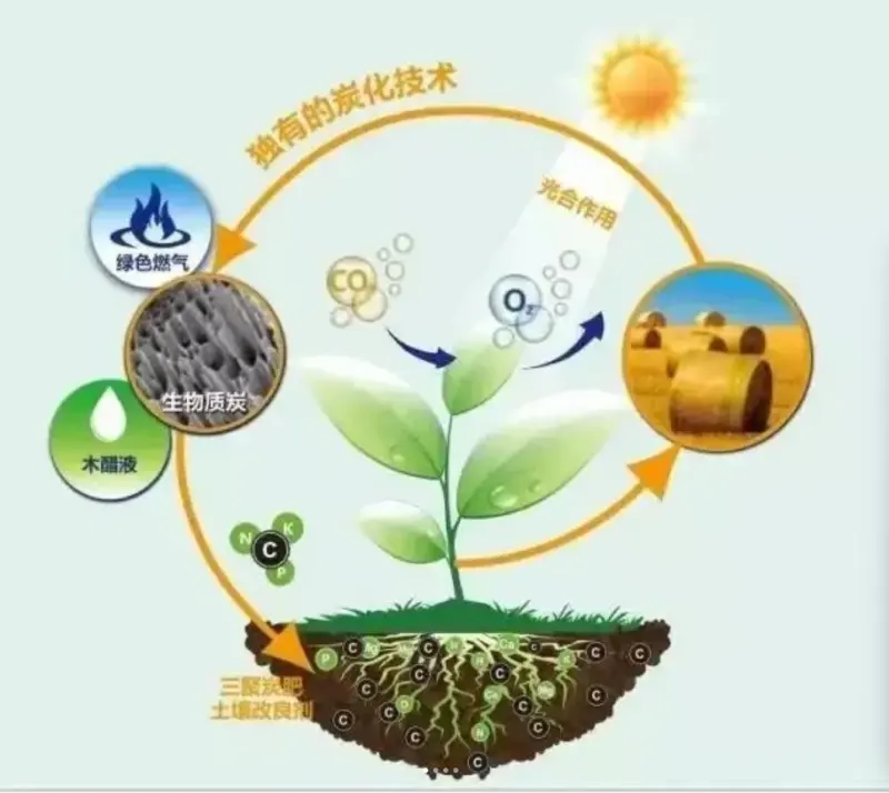 四川推出全国首个省级碳中和推广方案