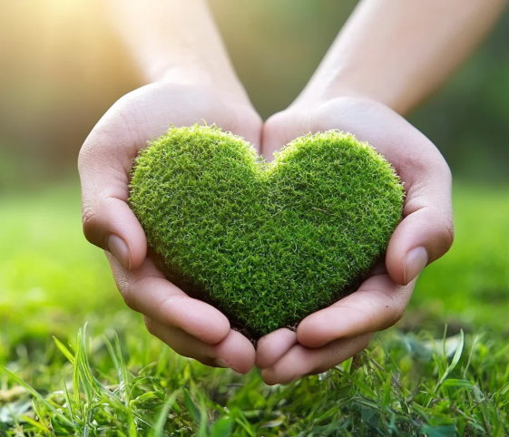 用数据见证变化 用政策法规引领美丽中国建设