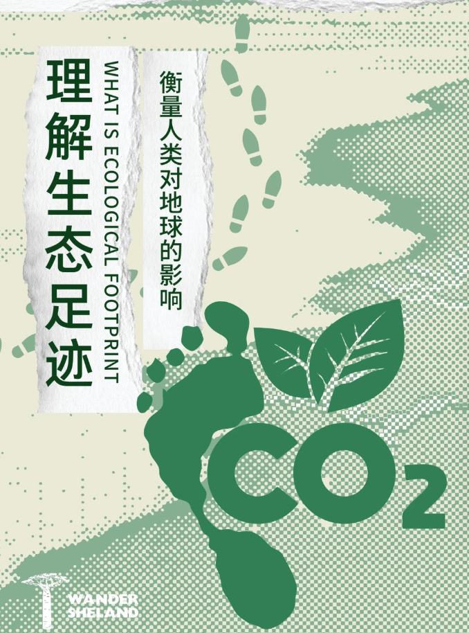 重庆将探索与外方签署“出口产品碳足迹互认备忘录”