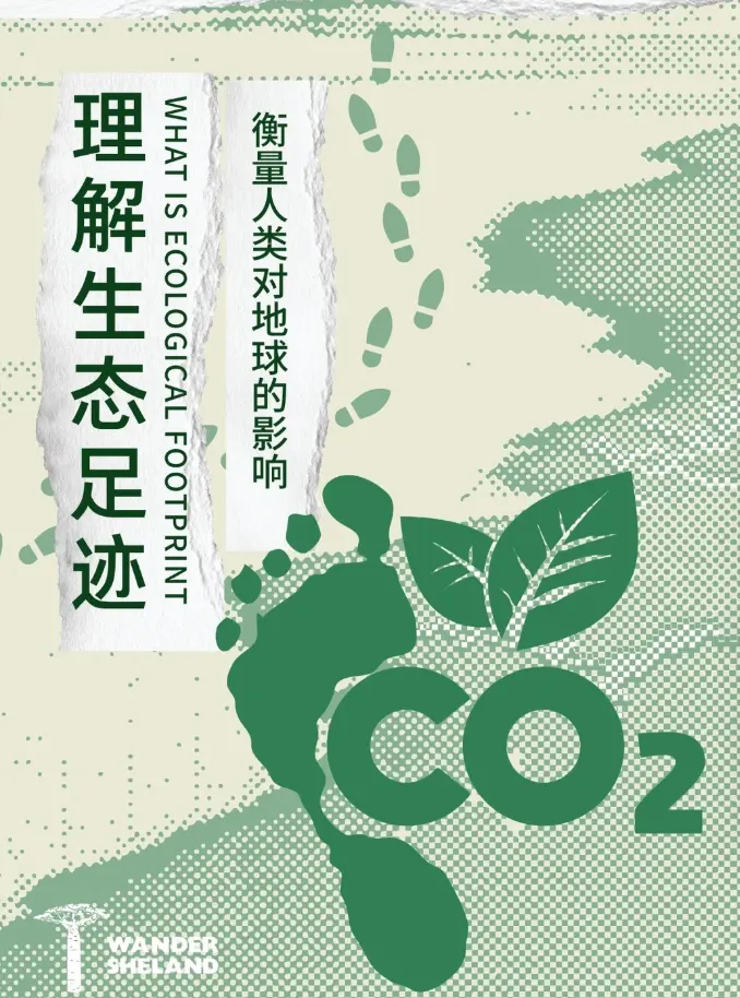 重庆将探索与外方签署“出口产品碳足迹互认备忘录”