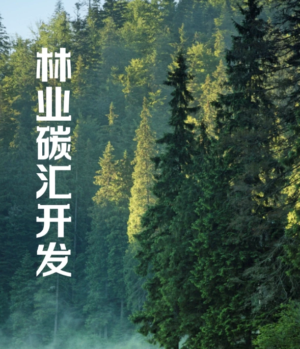 十堰林业碳汇建设实施方案新鲜出炉