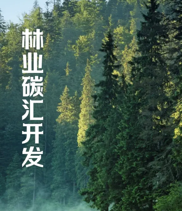 十堰林业碳汇建设实施方案新鲜出炉