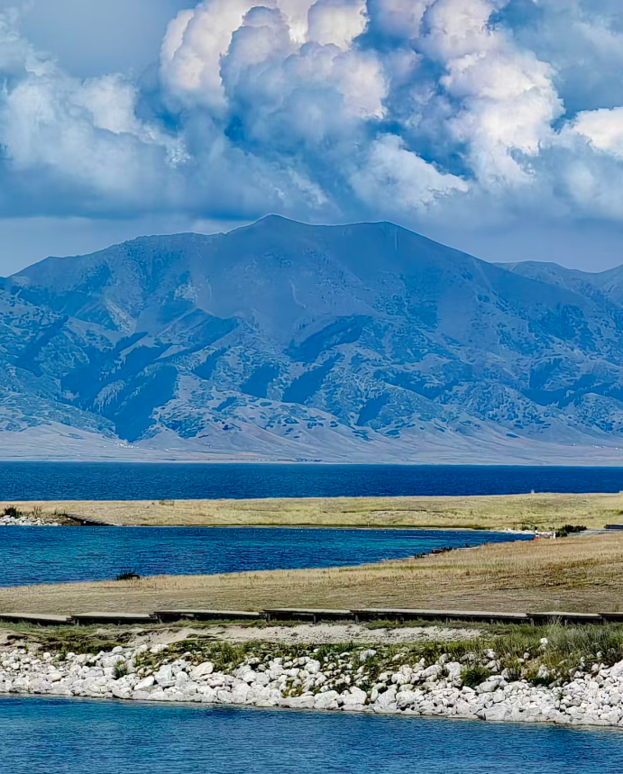 字节跳动为何豪购10万吨碳信用额？