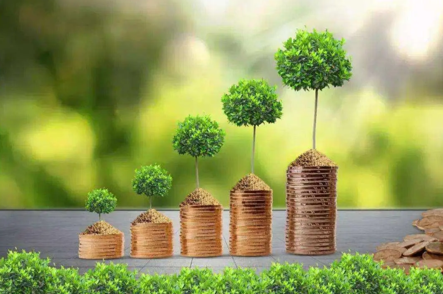 “弘扬志愿精神 共同守护长江”长江大保护志愿行动大会举办