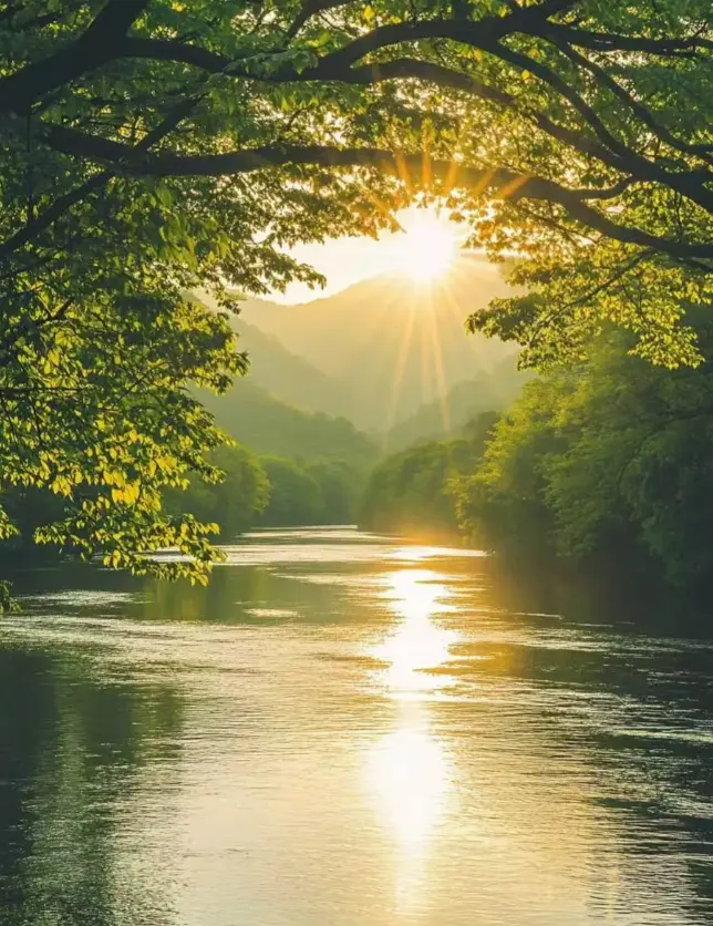 黑龙江“十五五”加快建设美丽中国省域先行区