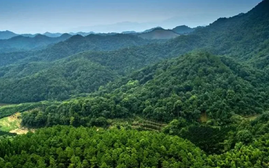  内蒙古破解生态价值转化“四题”