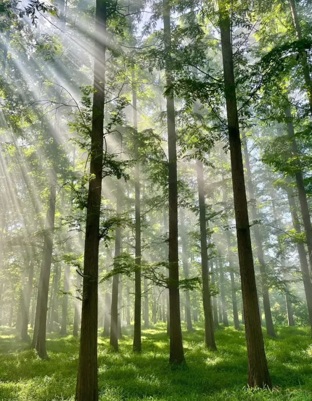 专家畅谈学习2026年中央一号文件体会