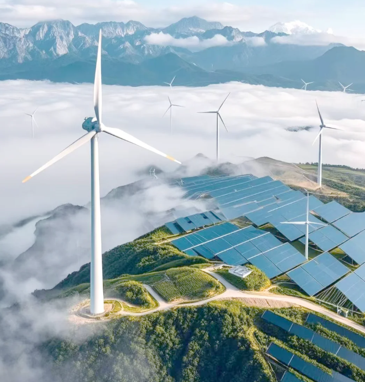 绿色港口建设结硕果！天津港生产用电场景实现绿电使用全覆盖