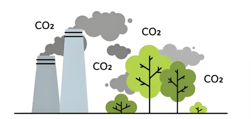基本完成碳排放权期货合约制度设计