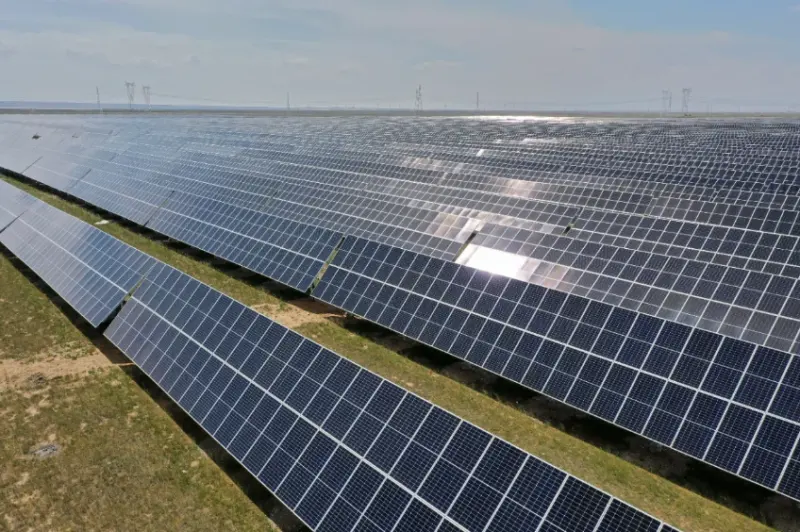 坚持“双碳”引领 加快推动全面绿色转型