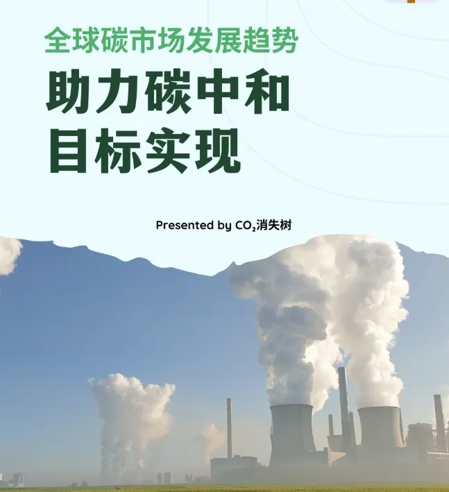 坚定遵循共同但有区别的责任 深化碳市场国际交流与合作