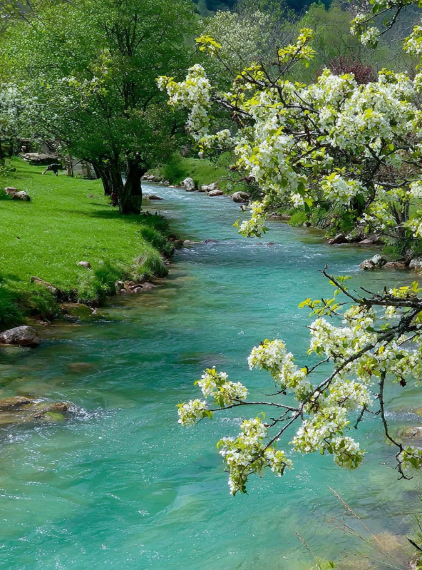 为美丽中国建设提供基础支撑和有力保障