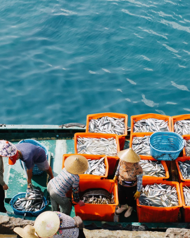 广州促进绿色低碳农业加速发展 2020年农林牧渔业总产值达514.03亿元