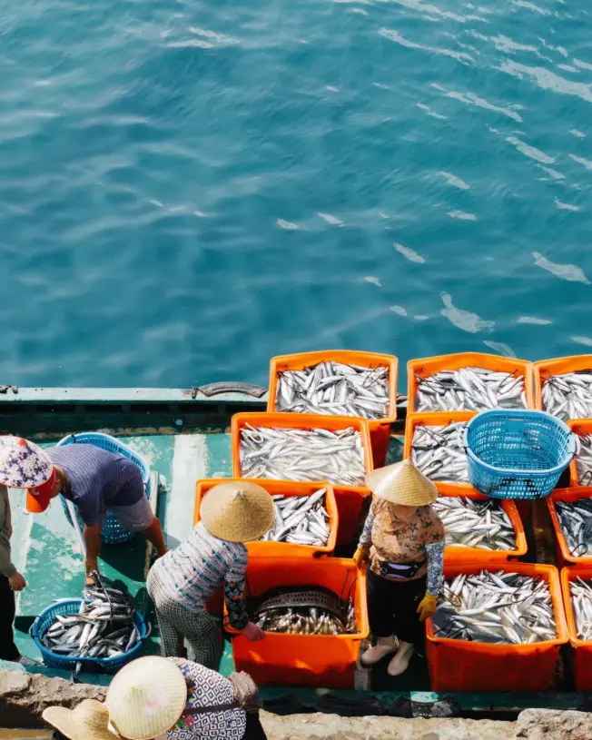 广州促进绿色低碳农业加速发展 2020年农林牧渔业总产值达514.03亿元