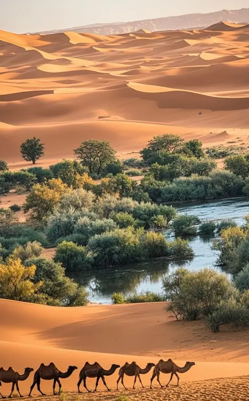 马韵桐：北控水务以代差化运营优势构建新核心竞争力